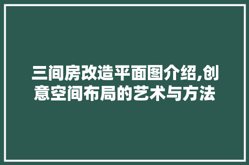 三间房改造平面图介绍,创意空间布局的艺术与方法 木雕艺术