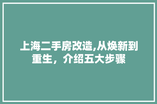 上海二手房改造,从焕新到重生，介绍五大步骤