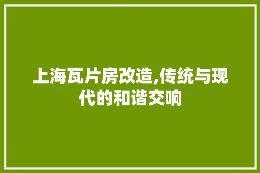 上海瓦片房改造,传统与现代的和谐交响 客厅装修
