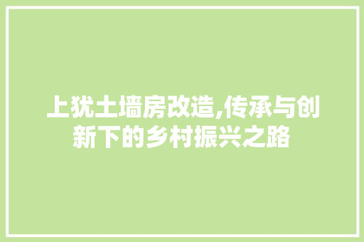 上犹土墙房改造,传承与创新下的乡村振兴之路