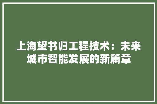 上海望书归工程技术：未来城市智能发展的新篇章 软装设计