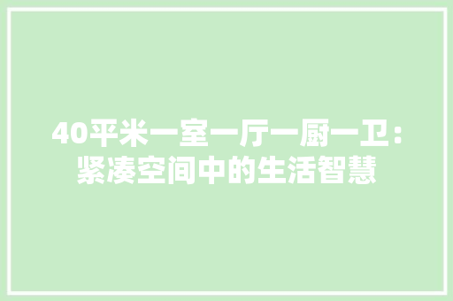 40平米一室一厅一厨一卫：紧凑空间中的生活智慧