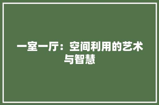 一室一厅：空间利用的艺术与智慧 现代风格装饰