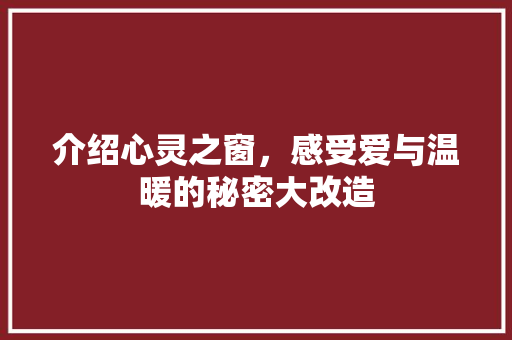 介绍心灵之窗，感受爱与温暖的秘密大改造