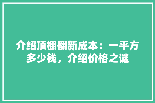 介绍顶棚翻新成本：一平方多少钱，介绍价格之谜
