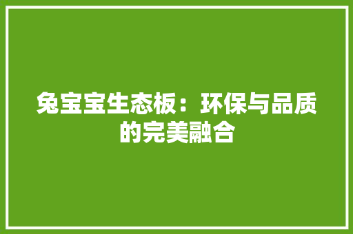 兔宝宝生态板：环保与品质的完美融合 现代风格装饰