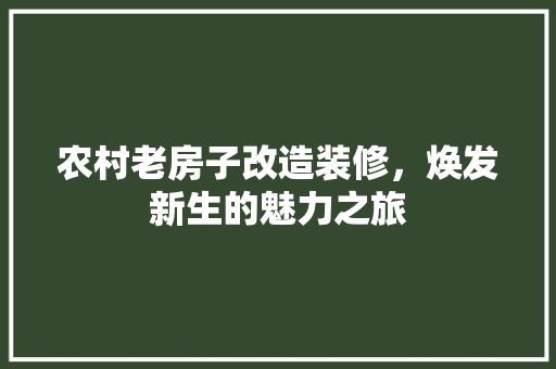 农村老房子改造装修，焕发新生的魅力之旅