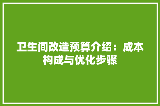 卫生间改造预算介绍：成本构成与优化步骤 地板材料