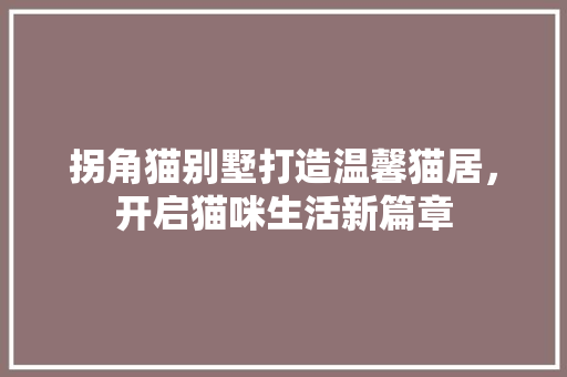 拐角猫别墅打造温馨猫居，开启猫咪生活新篇章