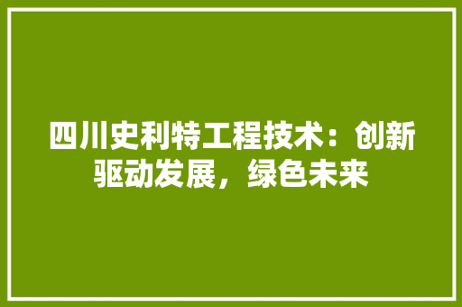 四川史利特工程技术：创新驱动发展，绿色未来 卧室装修