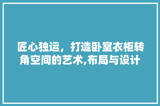 匠心独运，打造卧室衣柜转角空间的艺术,布局与设计