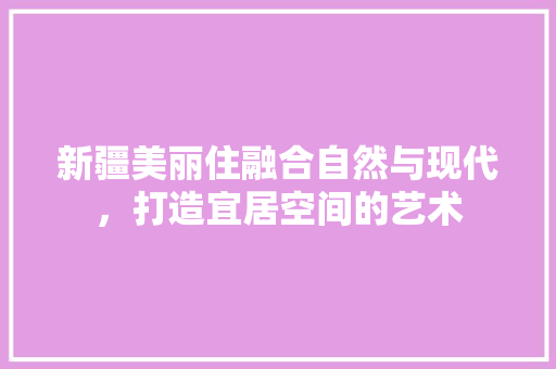 新疆美丽住融合自然与现代，打造宜居空间的艺术