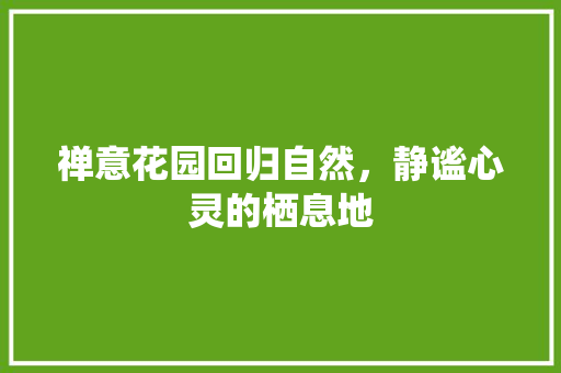 禅意花园回归自然，静谧心灵的栖息地