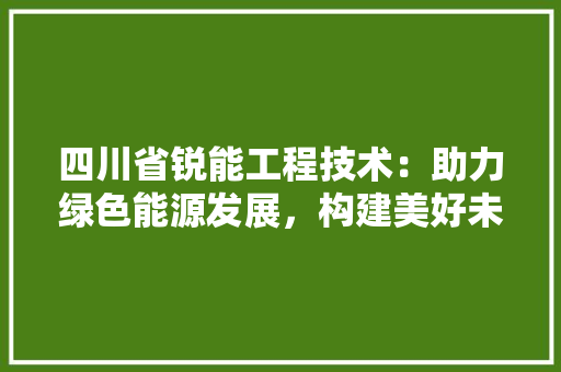 四川省锐能工程技术：助力绿色能源发展，构建美好未来 卧室装修