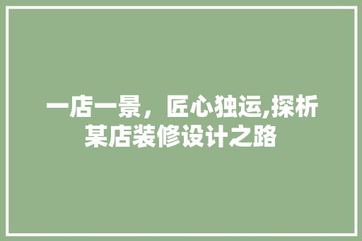 一店一景，匠心独运,探析某店装修设计之路