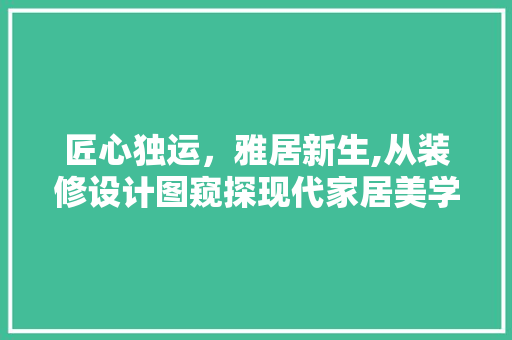 匠心独运，雅居新生,从装修设计图窥探现代家居美学