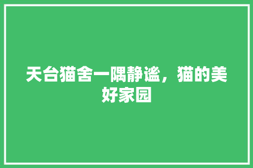 天台猫舍一隅静谧，猫的美好家园
