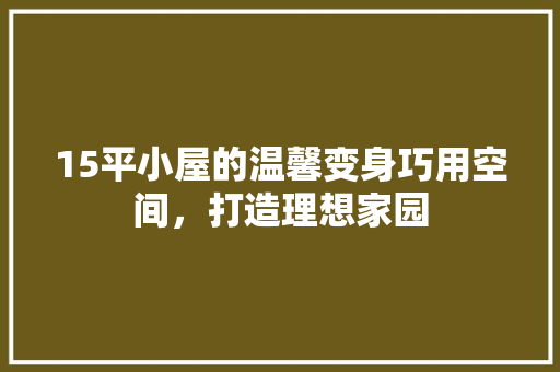 15平小屋的温馨变身巧用空间，打造理想家园