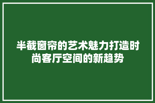 半截窗帘的艺术魅力打造时尚客厅空间的新趋势
