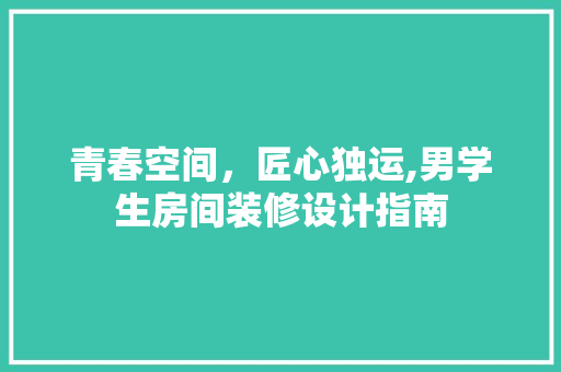 青春空间，匠心独运,男学生房间装修设计指南