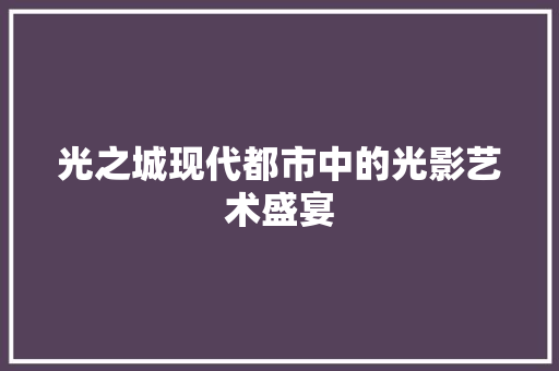 光之城现代都市中的光影艺术盛宴