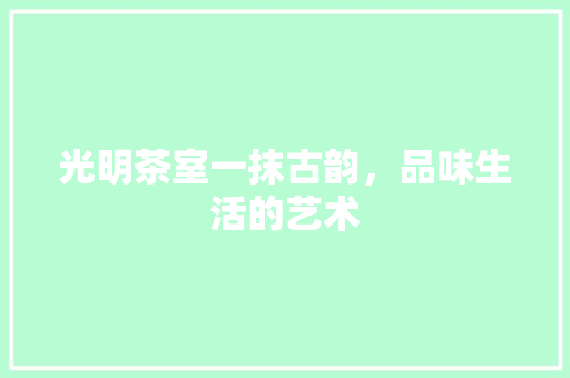 光明茶室一抹古韵，品味生活的艺术
