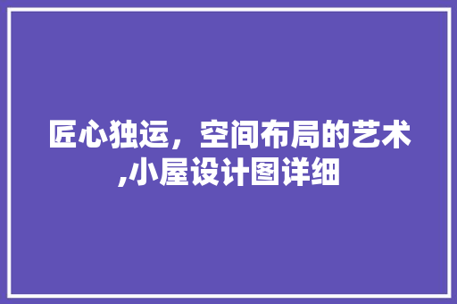 匠心独运，空间布局的艺术,小屋设计图详细