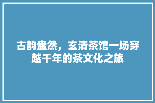 古韵盎然，玄清茶馆一场穿越千年的茶文化之旅