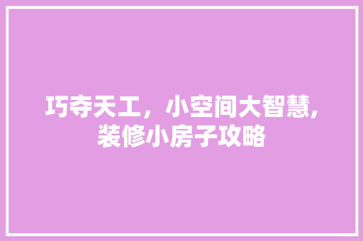 巧夺天工，小空间大智慧,装修小房子攻略