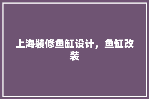 上海装修鱼缸设计，鱼缸改装