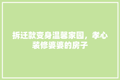 拆迁款变身温馨家园，孝心装修婆婆的房子 客厅装修