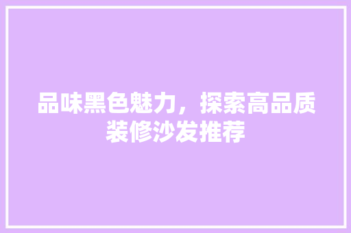 品味黑色魅力，探索高品质装修沙发推荐