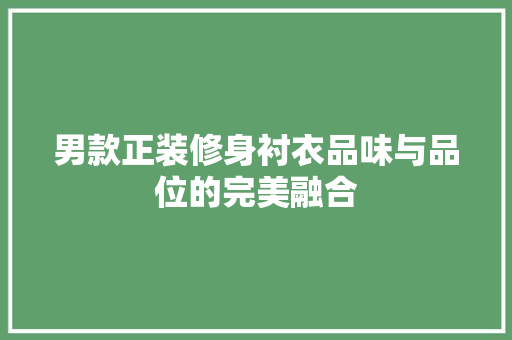 男款正装修身衬衣品味与品位的完美融合