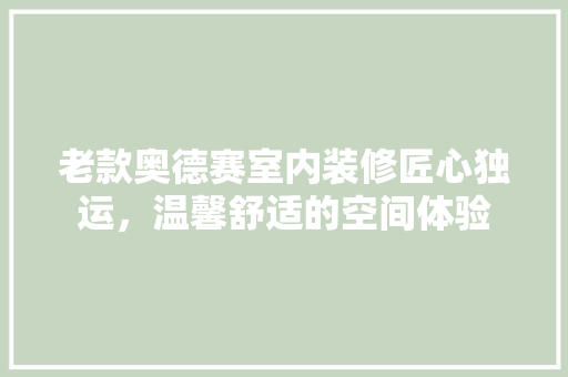老款奥德赛室内装修匠心独运，温馨舒适的空间体验