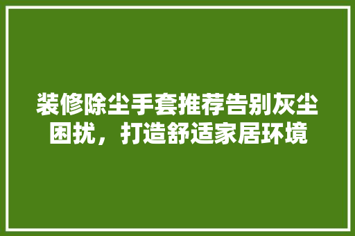 装修除尘手套推荐告别灰尘困扰，打造舒适家居环境