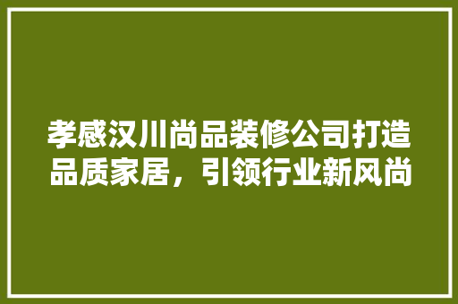 孝感汉川尚品装修公司打造品质家居，引领行业新风尚