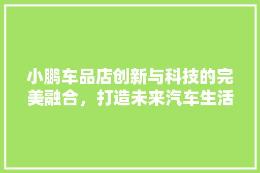 小鹏车品店创新与科技的完美融合，打造未来汽车生活新标杆