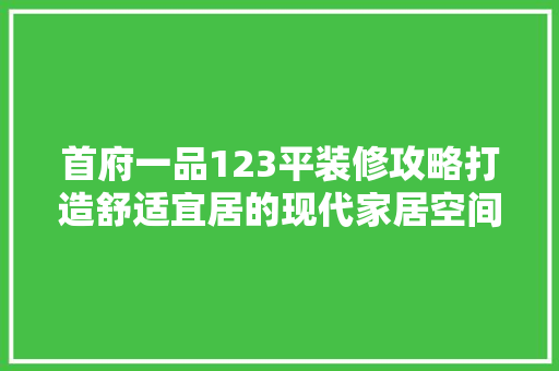 首府一品123平装修攻略打造舒适宜居的现代家居空间