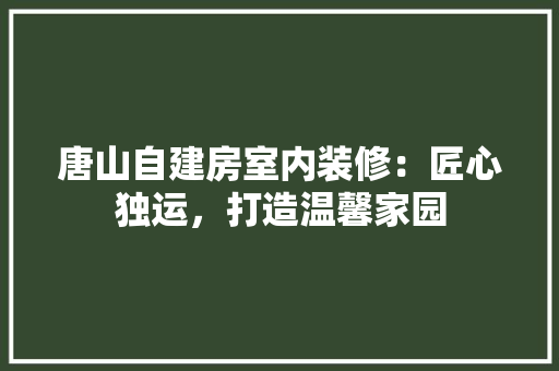 唐山自建房室内装修：匠心独运，打造温馨家园