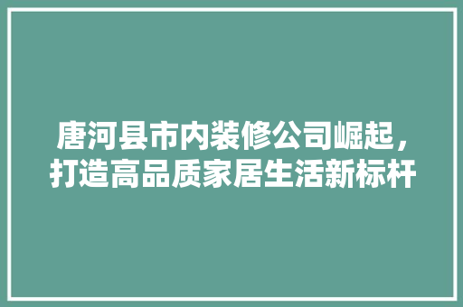 唐河县市内装修公司崛起，打造高品质家居生活新标杆