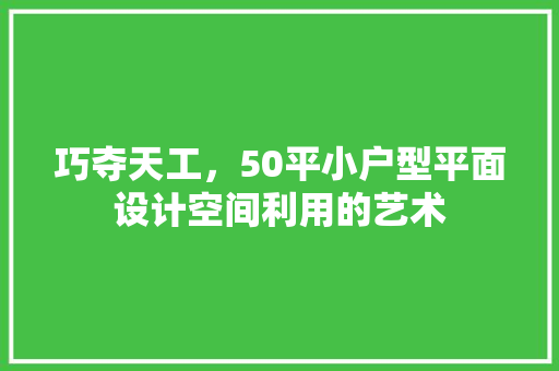 巧夺天工，50平小户型平面设计空间利用的艺术 现代风格装饰