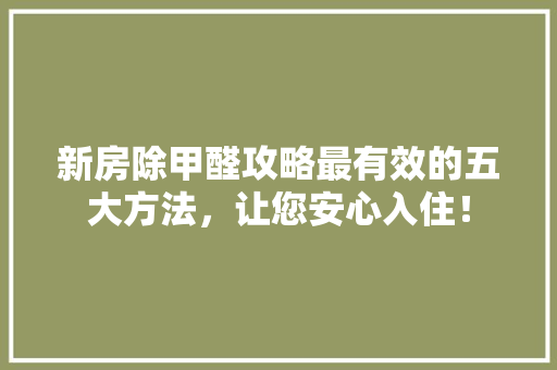 新房除甲醛攻略最有效的五大方法，让您安心入住！