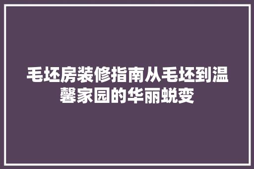 毛坯房装修指南从毛坯到温馨家园的华丽蜕变