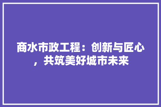 商水市政工程：创新与匠心，共筑美好城市未来 卧室装修