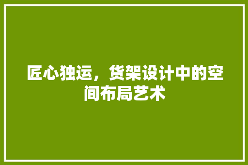 匠心独运，货架设计中的空间布局艺术