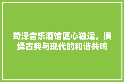 菏泽音乐酒馆匠心独运，演绎古典与现代的和谐共鸣