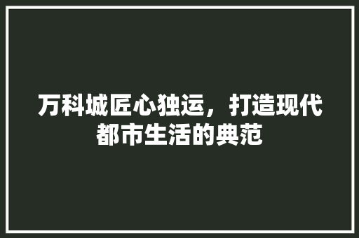 万科城匠心独运，打造现代都市生活的典范 家居装修