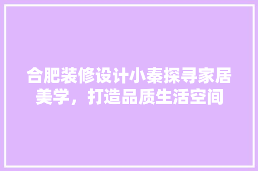 合肥装修设计小秦探寻家居美学，打造品质生活空间