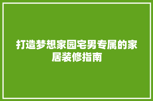 打造梦想家园宅男专属的家居装修指南