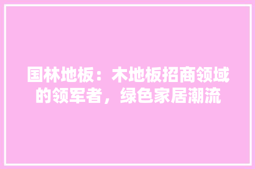 国林地板：木地板招商领域的领军者，绿色家居潮流 现代风格装饰